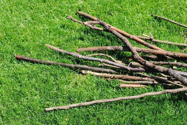 DIY; Building a tent out of branches with Sticklets